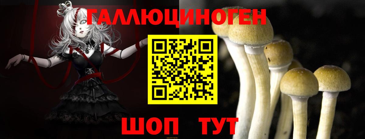 Псилоцибиновые грибы мицелий  Вход с VPN  Галлюциногенные грибы Psilocybine cubensis  Донецк 